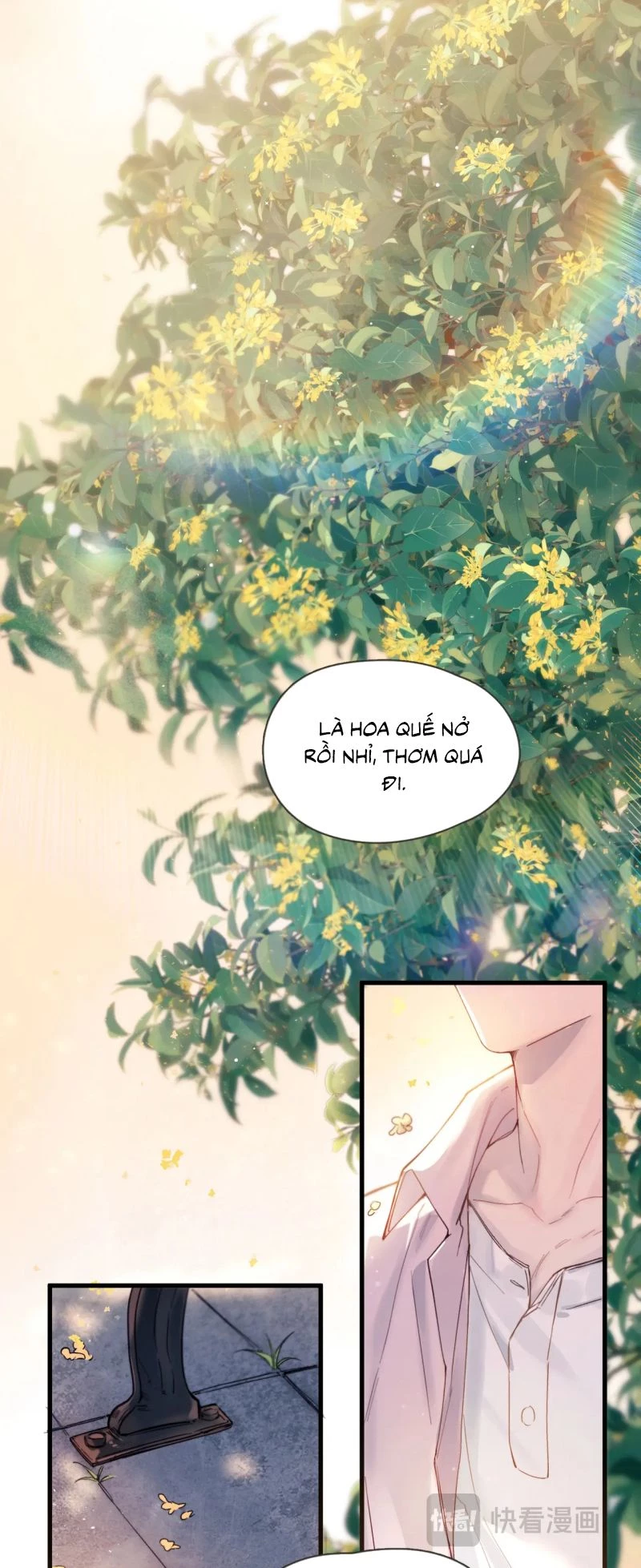 Tinh Vệ Chapter 37 - 13