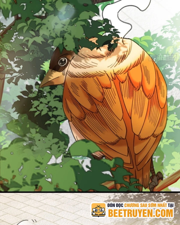 Mạt Thế Cao Ôn: Ta Dựa Vào Phòng An Toàn Thành Thần Chapter 4 - 110