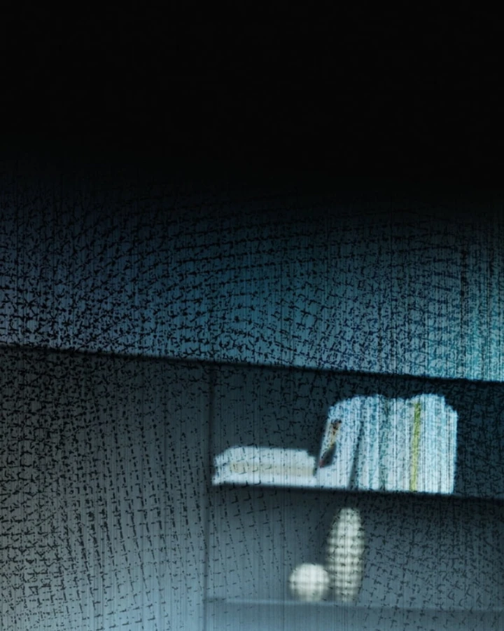 Mạt Thế Cao Ôn: Ta Dựa Vào Phòng An Toàn Thành Thần Chapter 7 - 80