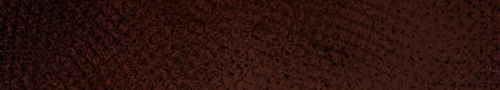 Mạt Thế Cao Ôn: Ta Dựa Vào Phòng An Toàn Thành Thần Chapter 16 - 95