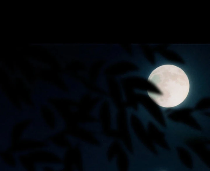 Mạt Thế Cao Ôn: Ta Dựa Vào Phòng An Toàn Thành Thần Chapter 20 - 26