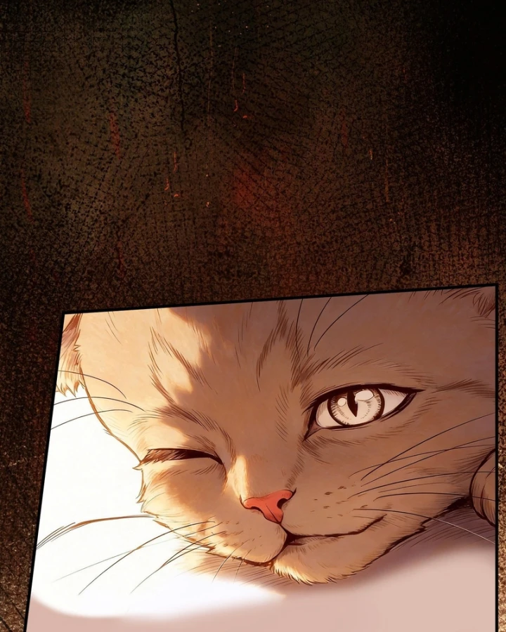 Mạt Thế Cao Ôn: Ta Dựa Vào Phòng An Toàn Thành Thần Chapter 28 - 6