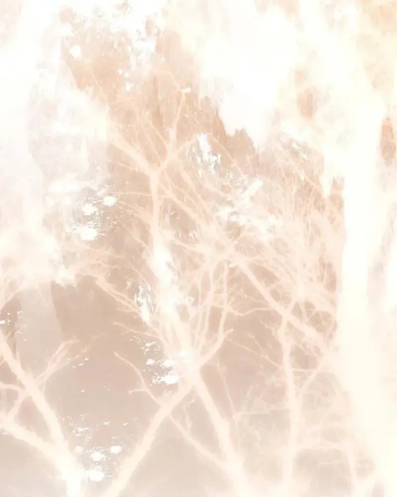 Kính Gửi Ngài Công Tước Hoàn Hảo Chapter 3 - 162