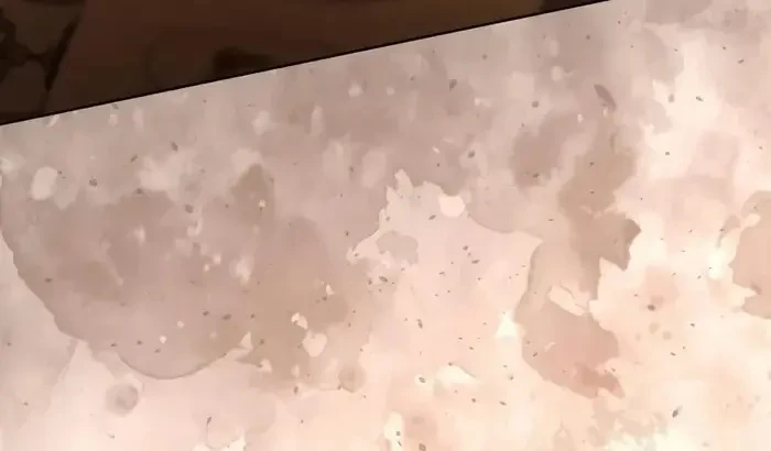 Kính Gửi Ngài Công Tước Hoàn Hảo Chapter 5 - 52