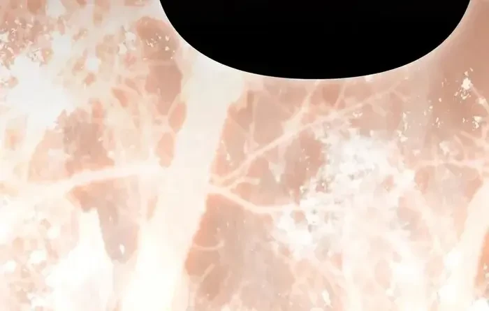 Kính Gửi Ngài Công Tước Hoàn Hảo Chapter 5 - 141