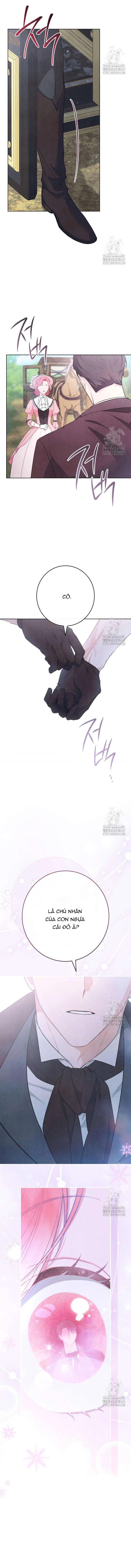 Nỗi Ám Ảnh Dành Cho Công Tước Phu Nhân Chapter 1 - 11