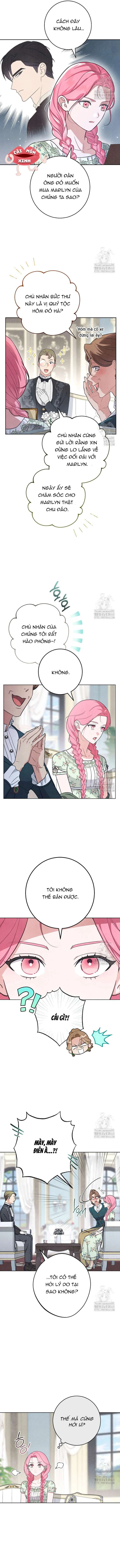 Nỗi Ám Ảnh Dành Cho Công Tước Phu Nhân Chapter 2 - 4