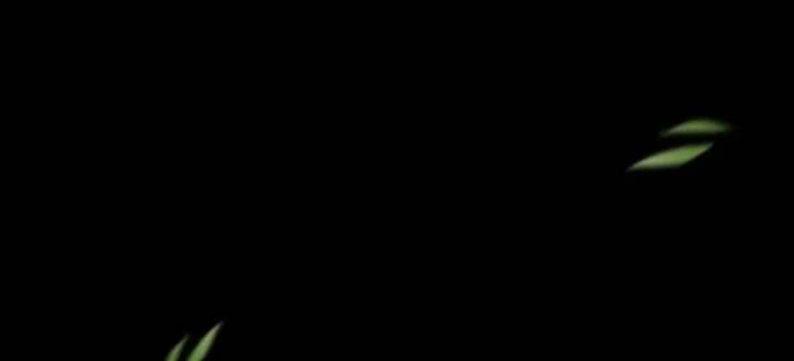 Đến Từ Thiên Ngoại Nhưng Không Phải Là Tiên Chapter 14 - 3