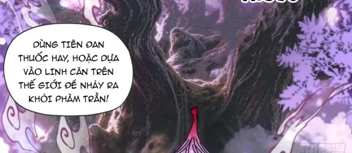 Đến Từ Thiên Ngoại Nhưng Không Phải Là Tiên Chapter 16 - 13