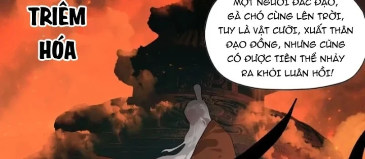 Đến Từ Thiên Ngoại Nhưng Không Phải Là Tiên Chapter 16 - 16