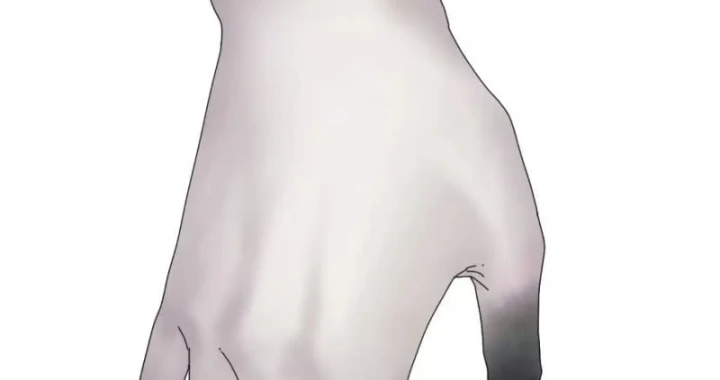 Đến Từ Thiên Ngoại Nhưng Không Phải Là Tiên Chapter 19 - 165