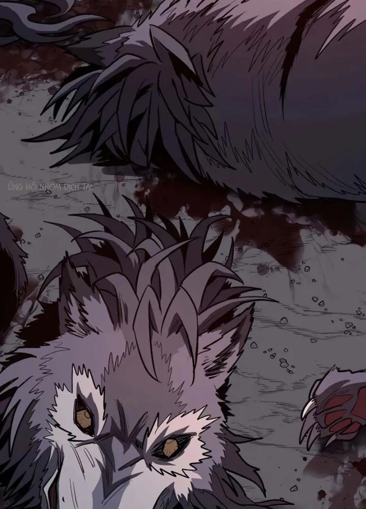 Vòng Chơi Thứ Hai Của Chiến Binh Cuồng Nộ Chapter 12 - 51