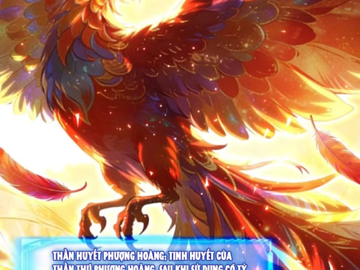 Mở Màn Đã Có Trăm Triệu Tỷ Linh Thạch, Ta Mua Đứt Cả Thế Giới Huyền Huyễn Chapter 17 - 74