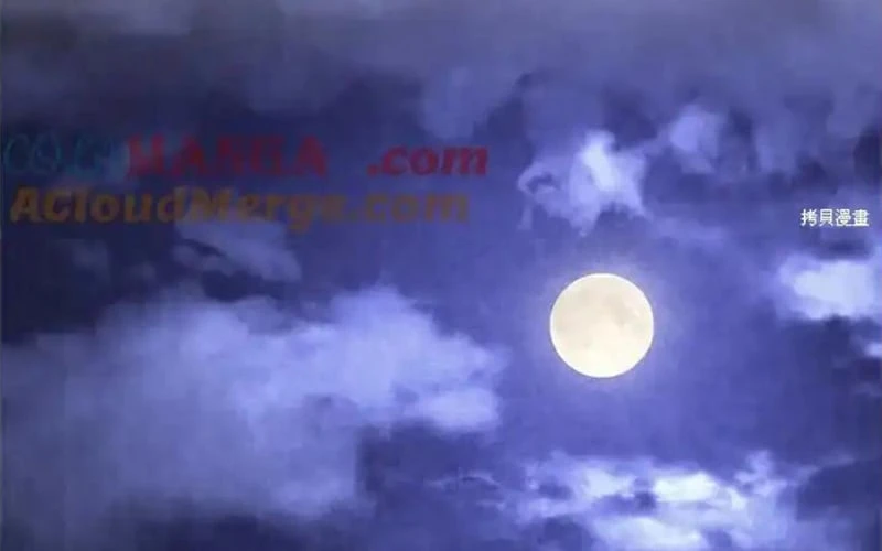 Hoàn Nguyên Quý Cô Chapter 88 - 303