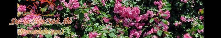 Hoàn Nguyên Quý Cô Chapter 3 - 51