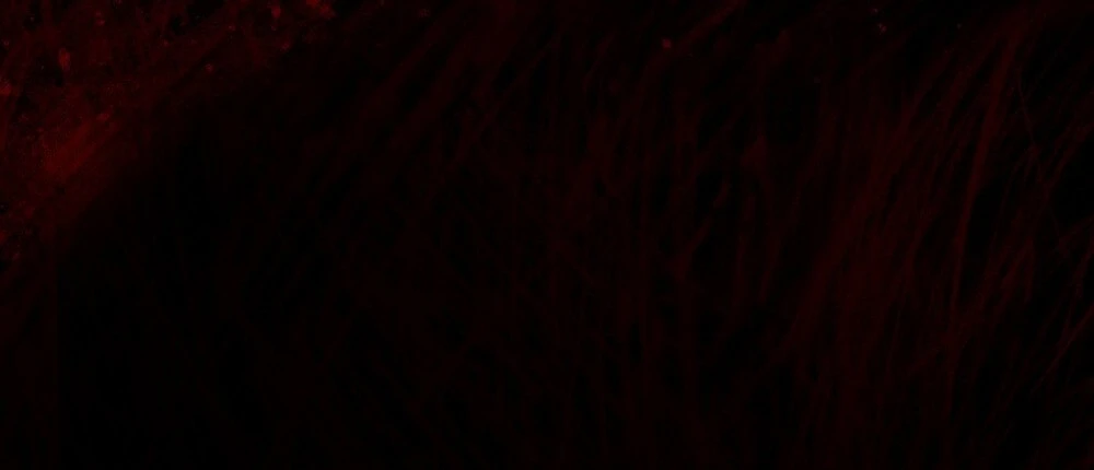 Merry Psycho Chapter 38.2 - 92