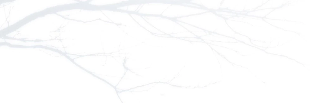 Merry Psycho Chapter 40.2 - 61