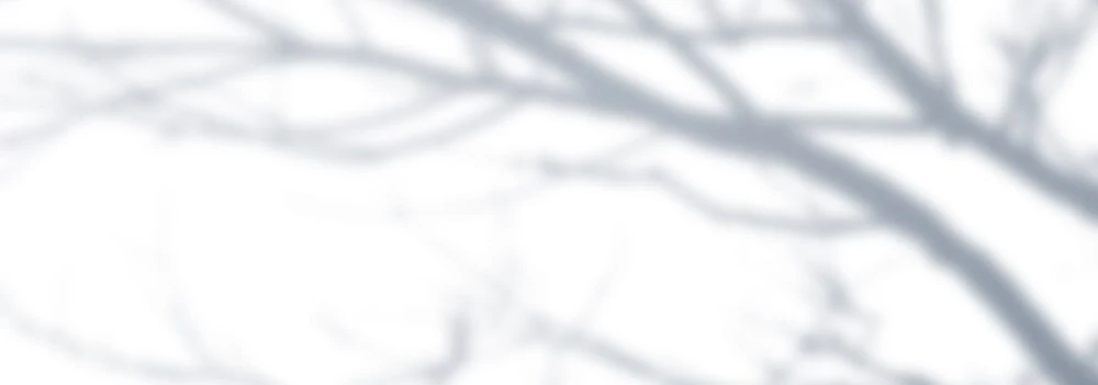 Merry Psycho Chapter 41.2 - 60