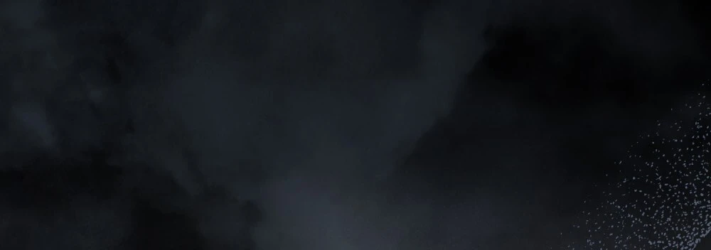 Merry Psycho Chapter 43.2 - 12