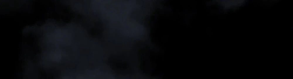 Merry Psycho Chapter 43.2 - 41