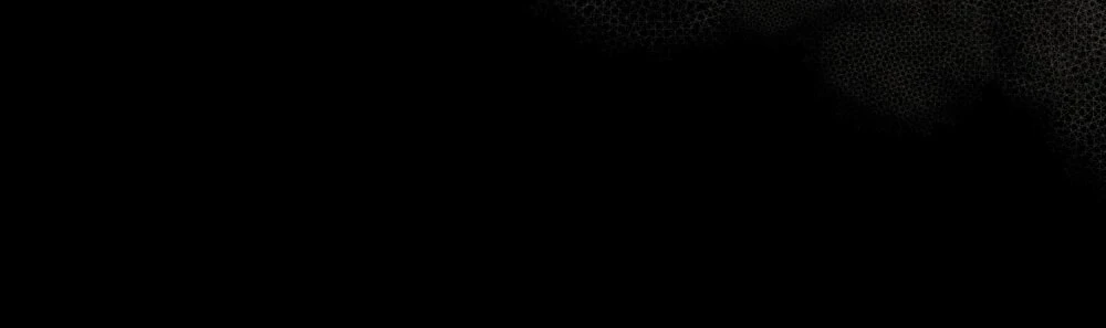 Merry Psycho Chapter 46.2 - 45