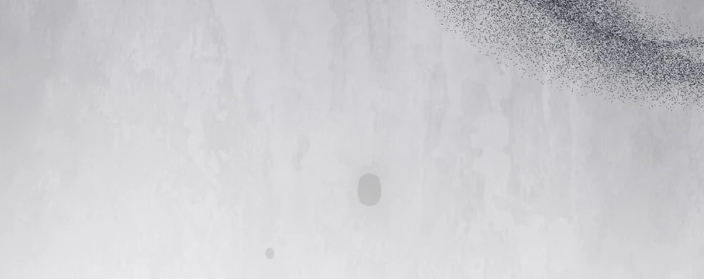 Merry Psycho Chapter 47.2 - 45