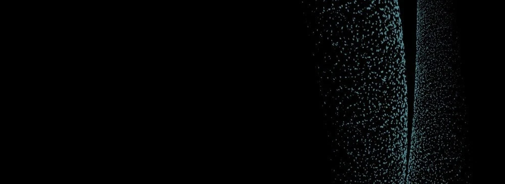 Merry Psycho Chapter 49.2 - 83