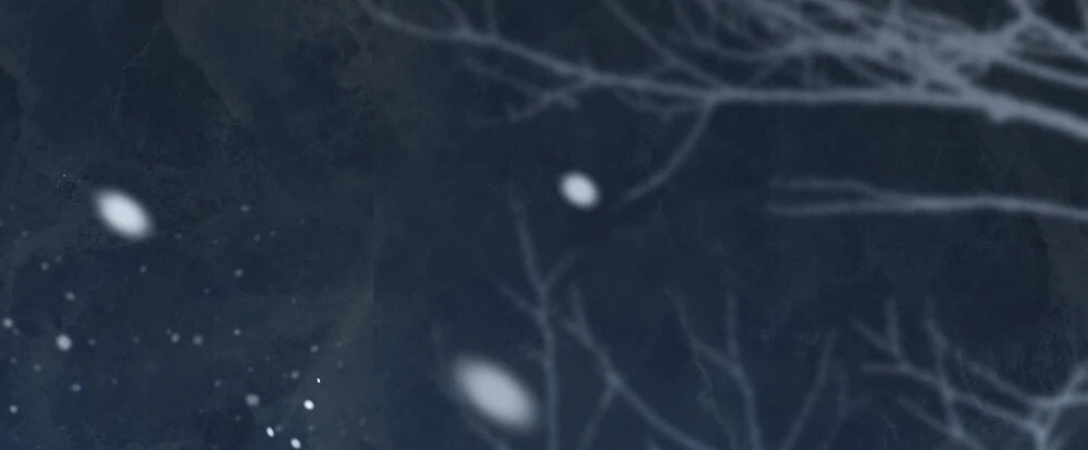 Merry Psycho Chapter 55.2 - 46