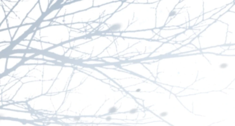 Merry Psycho Chapter 55.2 - 48