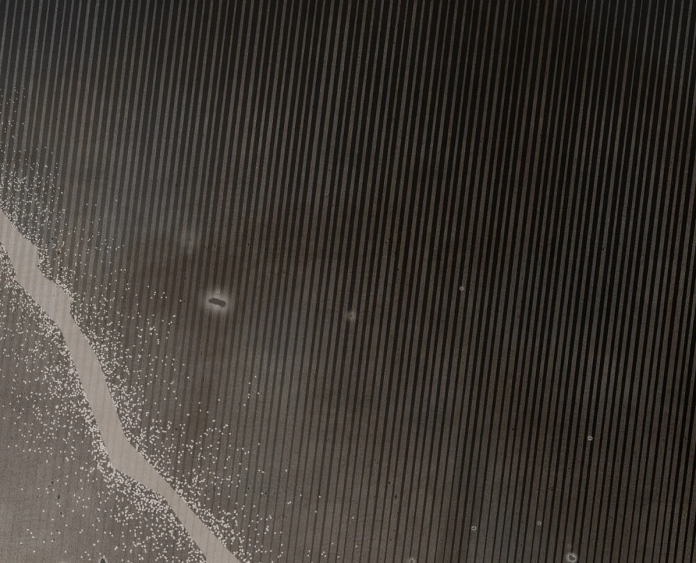 Merry Psycho Chapter 55.2 - 63