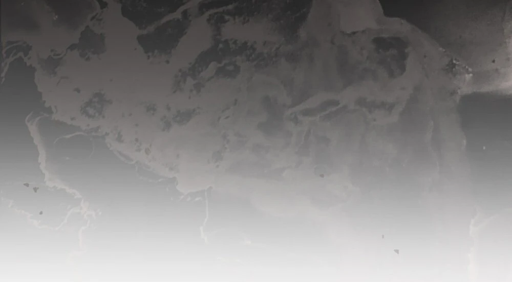 Merry Psycho Chapter 56.2 - 42