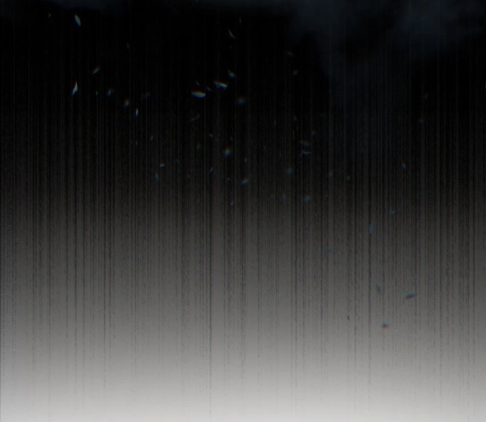 Merry Psycho Chapter 57.2 - 53