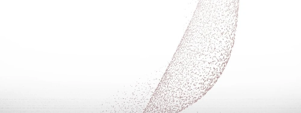 Merry Psycho Chapter 59.1 - 6