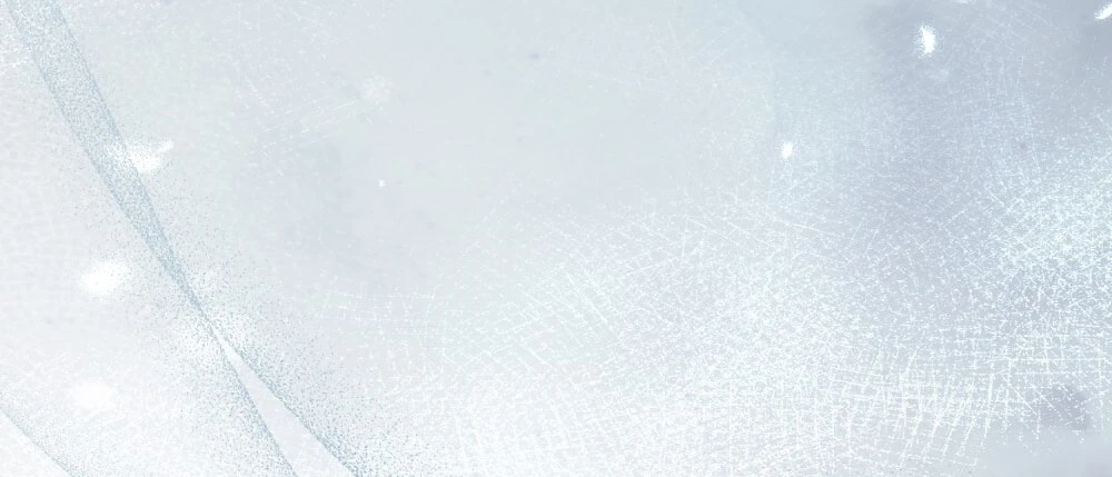 Merry Psycho Chapter 60.2 - 32