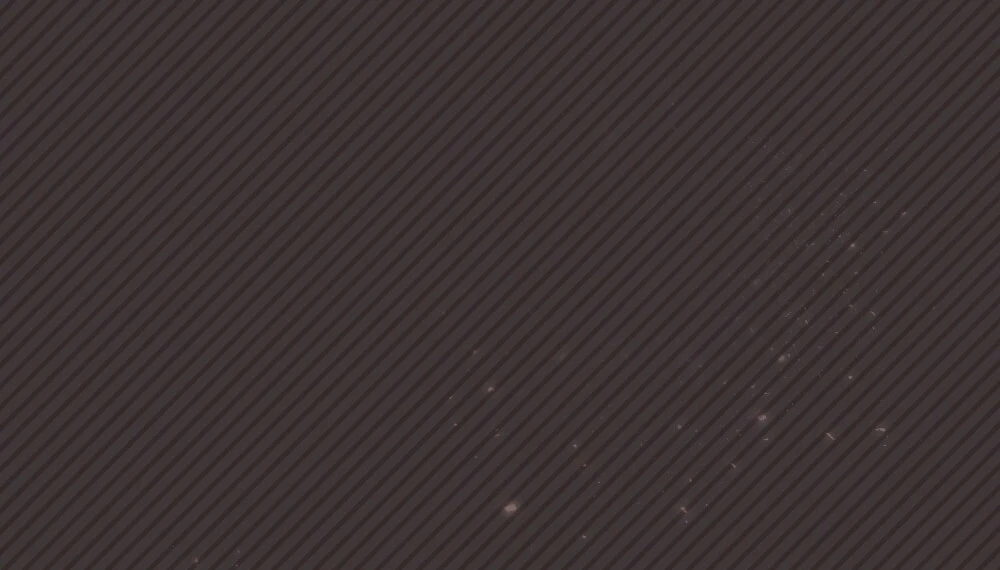 Merry Psycho Chapter 61.2 - 58