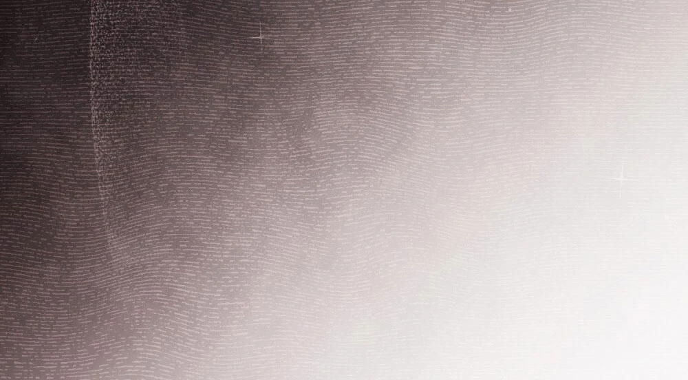 Merry Psycho Chapter 67.2 - 65