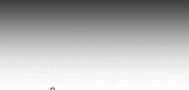 Chính Trị Gia Nhìn Thấy Tương Lai Chapter 15 - 19