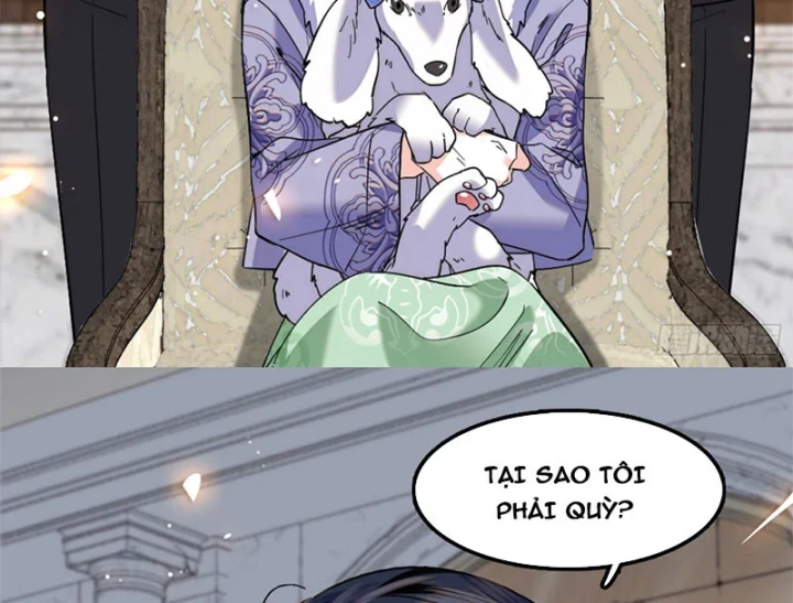 Chàng Rể Bị Vứt Bỏ Lên Ngôi Chapter 4 - 58