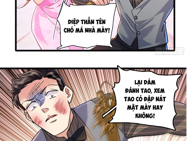 Chàng Rể Bị Vứt Bỏ Lên Ngôi Chapter 5 - 8