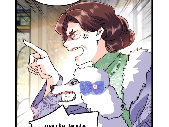 Chàng Rể Bị Vứt Bỏ Lên Ngôi Chapter 5 - 64