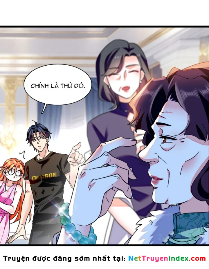 Chàng Rể Bị Vứt Bỏ Lên Ngôi Chapter 9 - 13