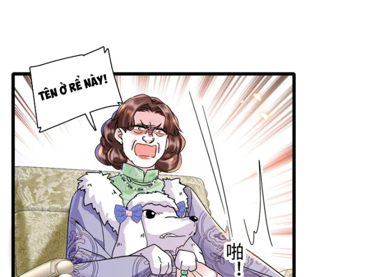 Chàng Rể Bị Vứt Bỏ Lên Ngôi Chapter 10 - 34