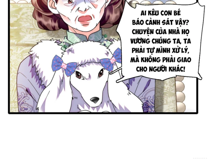 Chàng Rể Bị Vứt Bỏ Lên Ngôi Chapter 11 - 25