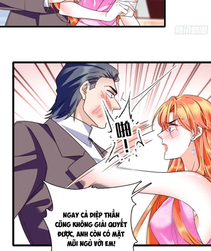 Chàng Rể Bị Vứt Bỏ Lên Ngôi Chapter 12 - 30