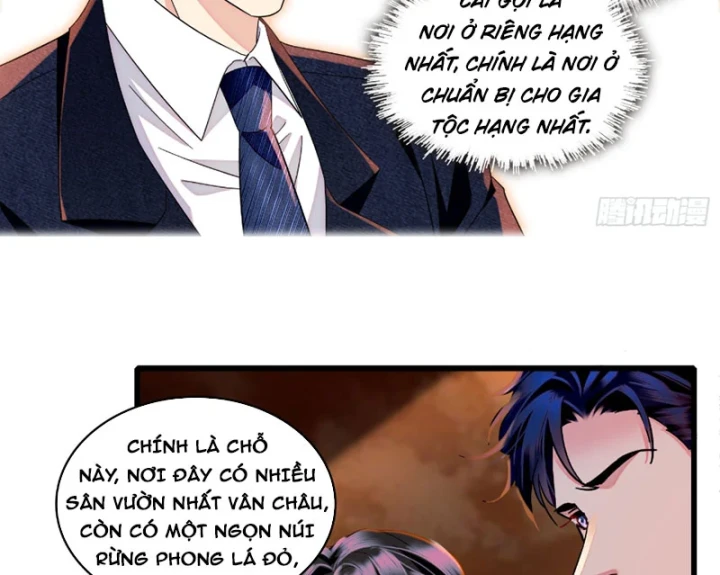 Chàng Rể Bị Vứt Bỏ Lên Ngôi Chapter 17 - 9