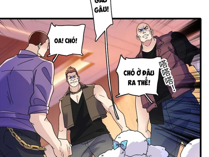 Chàng Rể Bị Vứt Bỏ Lên Ngôi Chapter 18 - 68