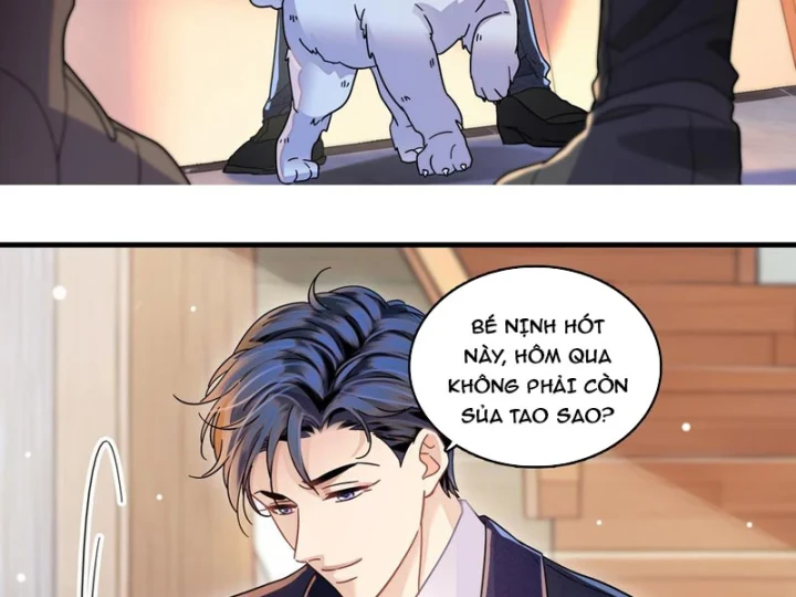 Chàng Rể Bị Vứt Bỏ Lên Ngôi Chapter 18 - 71