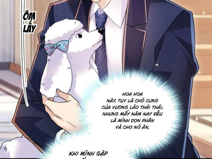 Chàng Rể Bị Vứt Bỏ Lên Ngôi Chapter 18 - 72