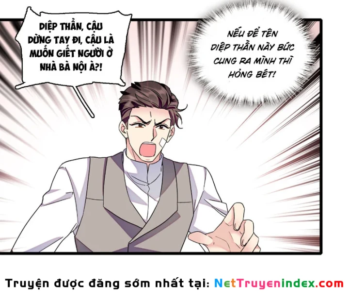 Chàng Rể Bị Vứt Bỏ Lên Ngôi Chapter 19 - 47