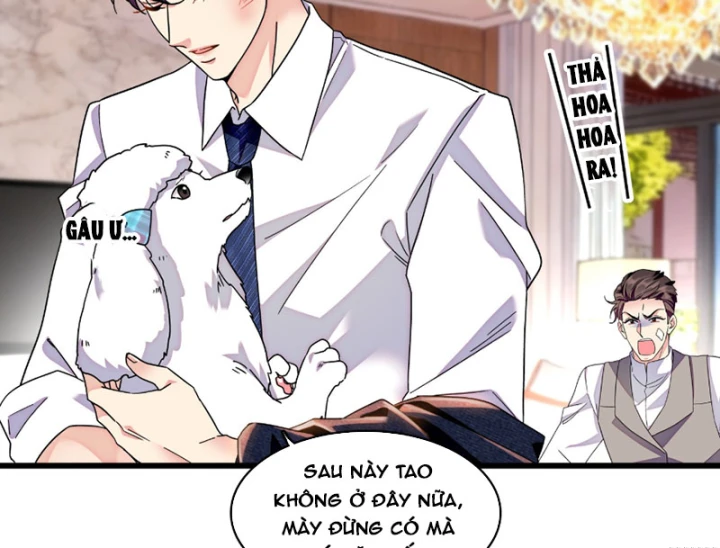 Chàng Rể Bị Vứt Bỏ Lên Ngôi Chapter 19 - 53